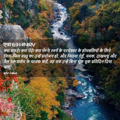 Picture 02 - एज्रा 6:9 HINIRV - क्या बछड़े! क्या - Bible Verse Picture