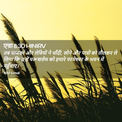 Picture 02 - एज्रा 8:30 HINIRV - तब याजकों और - Bible Verse Picture