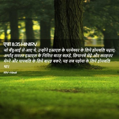 Picture 02 - एज्रा 8:35 HINIRV - जो बँधुआई से आए थे, - Bible Verse Picture