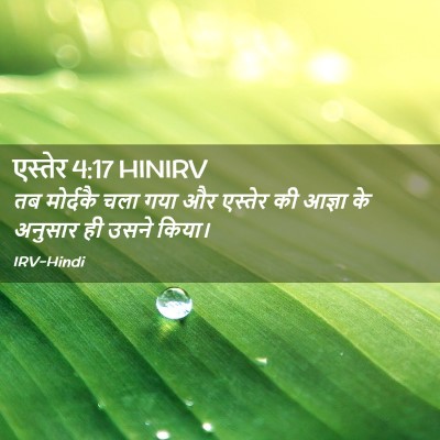 Picture 02 - एस्तेर 4:17 HINIRV - तब मोर्दकै चला गया - Bible Verse Picture