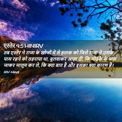 Picture 02 - एस्तेर 4:5 HINIRV - तब एस्तेर ने राजा - Bible Verse Picture