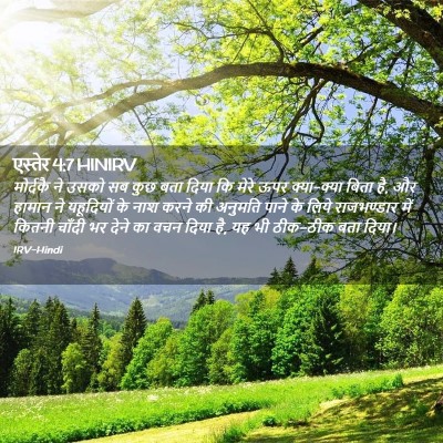 Picture 02 - एस्तेर 4:7 HINIRV - मोर्दकै ने उसको सब - Bible Verse Picture