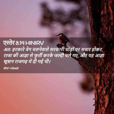 Picture 02 - एस्तेर 8:14 HINIRV - अतः हरकारे वेग - Bible Verse Picture
