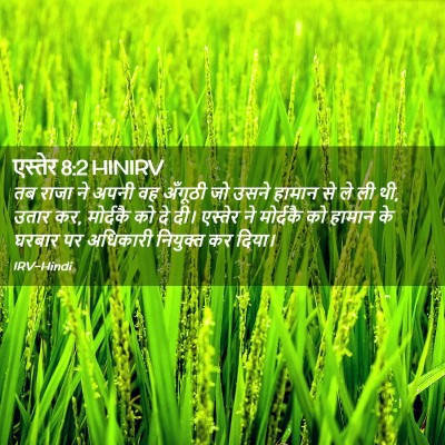 Picture 02 - एस्तेर 8:2 HINIRV - तब राजा ने अपनी वह - Bible Verse Picture