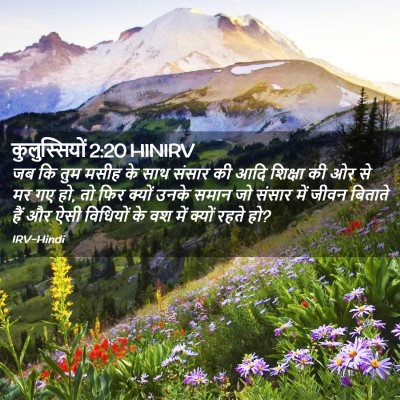 Picture 02 - कुलुस्सियों 2:20 HINIRV - जब कि तुम मसीह के - Bible Verse Picture