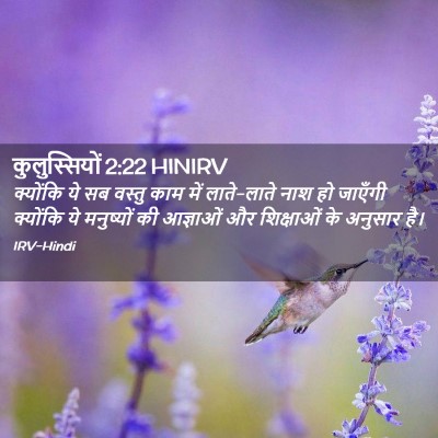 Picture 02 - कुलुस्सियों 2:22 HINIRV - क्योंकि ये सब - Bible Verse Picture