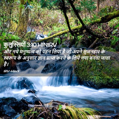 Picture 02 - कुलुस्सियों 3:10 HINIRV - और नये मनुष्यत्व - Bible Verse Picture