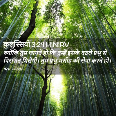 Picture 02 - कुलुस्सियों 3:24 HINIRV - क्योंकि तुम जानते - Bible Verse Picture