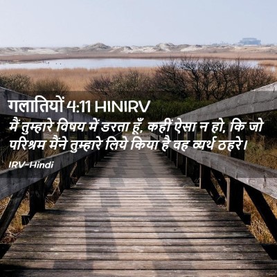 Picture 02 - गलातियों 4:11 HINIRV - मैं तुम्हारे विषय - Bible Verse Picture