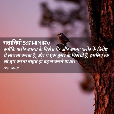 Picture 02 - गलातियों 5:17 HINIRV - क्योंकि शरीर - Bible Verse Picture