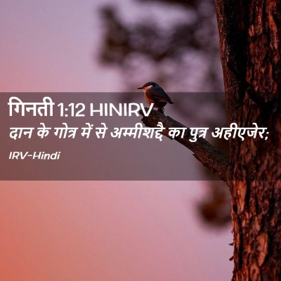 Picture 02 - गिनती 1:12 HINIRV - दान के गोत्र में से - Bible Verse Picture