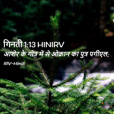 Picture 02 - गिनती 1:13 HINIRV - आशेर के गोत्र में - Bible Verse Picture