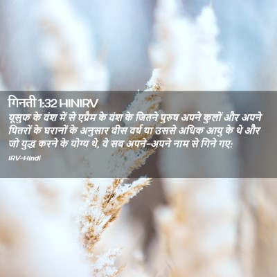 Picture 02 - गिनती 1:32 HINIRV - यूसुफ के वंश में से - Bible Verse Picture