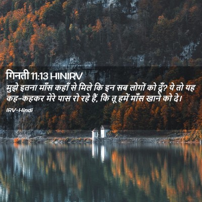 Picture 02 - गिनती 11:13 HINIRV - मुझे इतना माँस - Bible Verse Picture