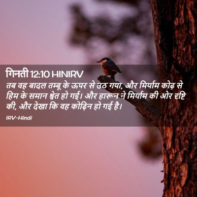 Picture 02 - गिनती 12:10 HINIRV - तब वह बादल तम्बू के - Bible Verse Picture