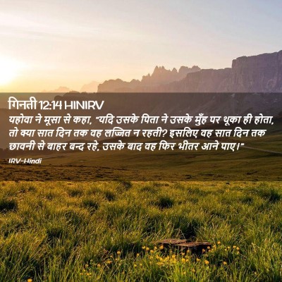 Picture 02 - गिनती 12:14 HINIRV - यहोवा ने मूसा से - Bible Verse Picture