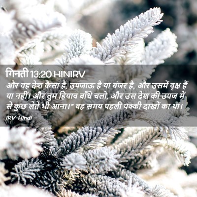Picture 02 - गिनती 13:20 HINIRV - और वह देश कैसा है, - Bible Verse Picture