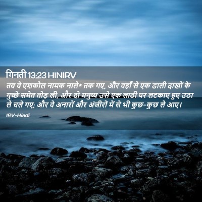 Picture 02 - गिनती 13:23 HINIRV - तब वे एशकोल नामक - Bible Verse Picture