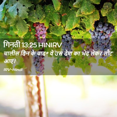 Picture 02 - गिनती 13:25 HINIRV - चालीस दिन के बाद* - Bible Verse Picture