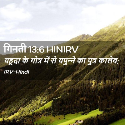 Picture 02 - गिनती 13:6 HINIRV - यहूदा के गोत्र में - Bible Verse Picture