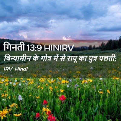 Picture 02 - गिनती 13:9 HINIRV - बिन्यामीन के - Bible Verse Picture
