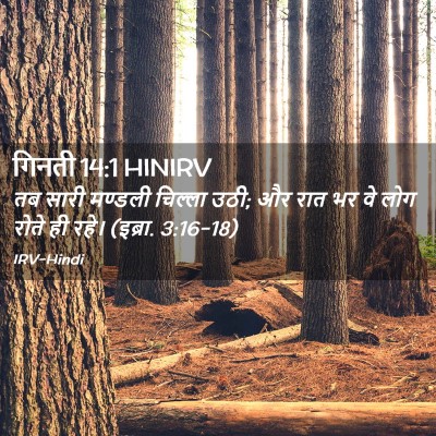 Picture 02 - गिनती 14:1 HINIRV - तब सारी मण्डली - Bible Verse Picture