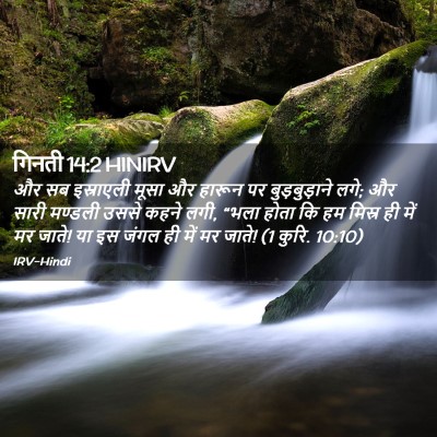 Picture 02 - गिनती 14:2 HINIRV - और सब इस्राएली - Bible Verse Picture