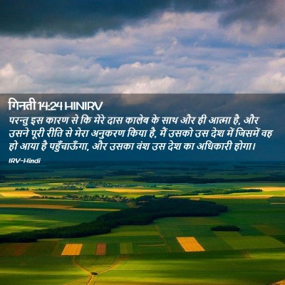 Picture 02 - गिनती 14:24 HINIRV - परन्तु इस कारण से - Bible Verse Picture