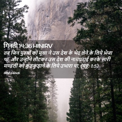 Picture 02 - गिनती 14:36 HINIRV - तब जिन पुरुषों को - Bible Verse Picture
