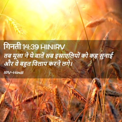 Picture 02 - गिनती 14:39 HINIRV - तब मूसा ने ये बातें - Bible Verse Picture