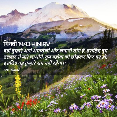 Picture 02 - गिनती 14:43 HINIRV - वहाँ तुम्हारे आगे - Bible Verse Picture