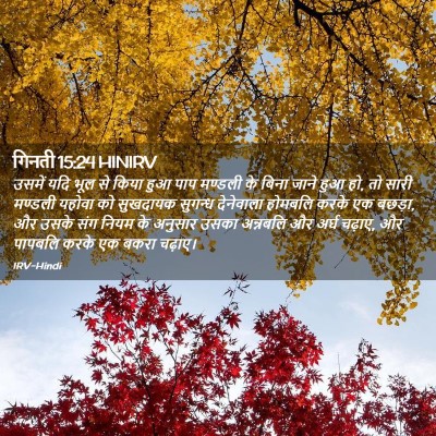 Picture 02 - गिनती 15:24 HINIRV - उसमें यदि भूल से - Bible Verse Picture