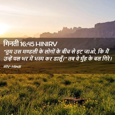 Picture 02 - गिनती 16:45 HINIRV - “तुम उस मण्डली के - Bible Verse Picture