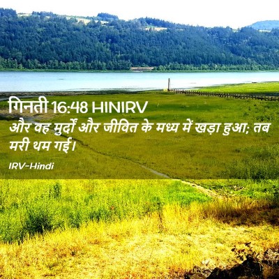 Picture 02 - गिनती 16:48 HINIRV - और वह मुर्दों और - Bible Verse Picture