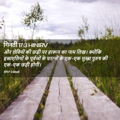 Picture 02 - गिनती 17:3 HINIRV - और लेवियों की छड़ी - Bible Verse Picture
