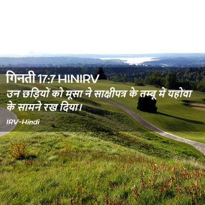 Picture 02 - गिनती 17:7 HINIRV - उन छड़ियों को मूसा - Bible Verse Picture