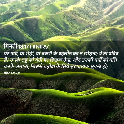 Picture 02 - गिनती 18:17 HINIRV - पर गाय, या भेड़ी, या - Bible Verse Picture