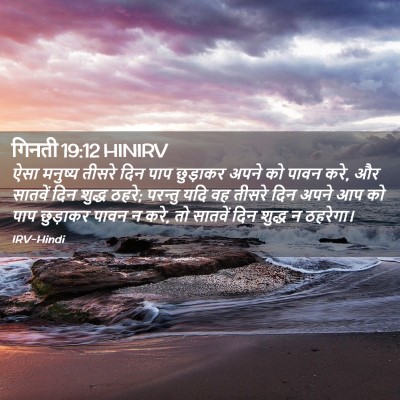 Picture 02 - गिनती 19:12 HINIRV - ऐसा मनुष्य तीसरे - Bible Verse Picture