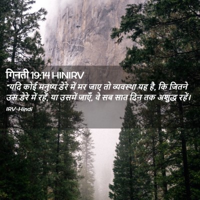 Picture 02 - गिनती 19:14 HINIRV - “यदि कोई मनुष्य - Bible Verse Picture