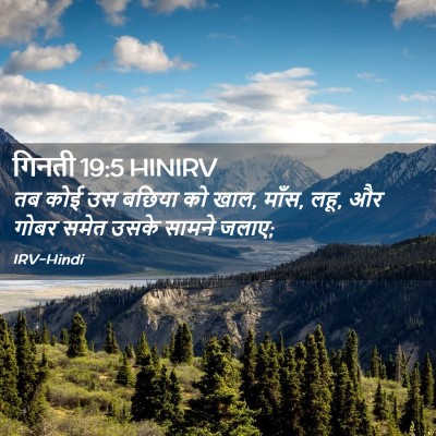 Picture 02 - गिनती 19:5 HINIRV - तब कोई उस बछिया को - Bible Verse Picture