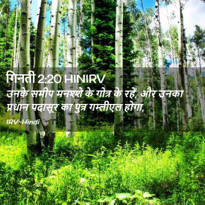 Picture 02 - गिनती 2:20 HINIRV - उनके समीप मनश्शे - Bible Verse Picture
