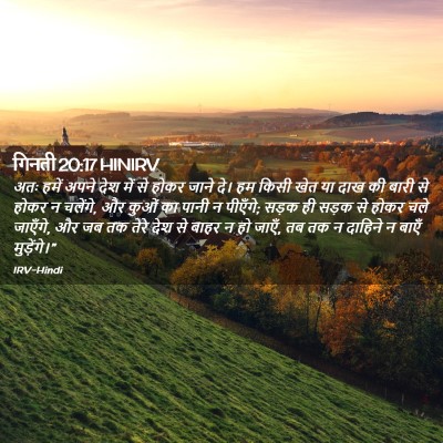 Picture 02 - गिनती 20:17 HINIRV - अतः हमें अपने देश - Bible Verse Picture