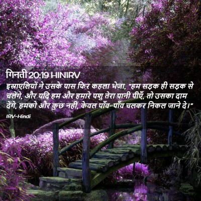 Picture 02 - गिनती 20:19 HINIRV - इस्राएलियों ने - Bible Verse Picture