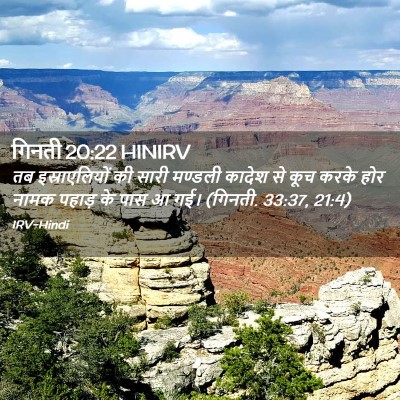 Picture 02 - गिनती 20:22 HINIRV - तब इस्राएलियों की - Bible Verse Picture