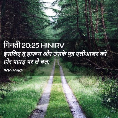 Picture 02 - गिनती 20:25 HINIRV - इसलिए तू हारून और - Bible Verse Picture