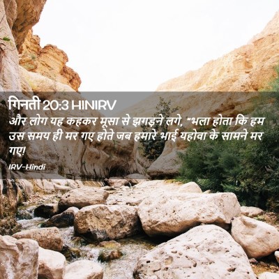 Picture 02 - गिनती 20:3 HINIRV - और लोग यह कहकर मूसा - Bible Verse Picture