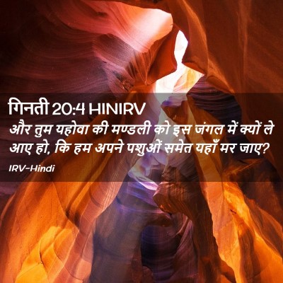 Picture 02 - गिनती 20:4 HINIRV - और तुम यहोवा की - Bible Verse Picture
