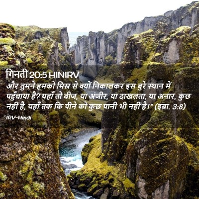 Picture 02 - गिनती 20:5 HINIRV - और तुमने हमको - Bible Verse Picture