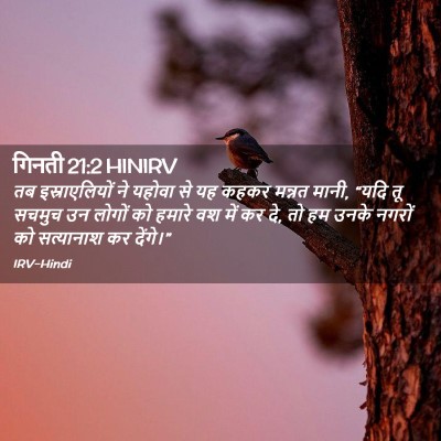 Picture 02 - गिनती 21:2 HINIRV - तब इस्राएलियों ने - Bible Verse Picture