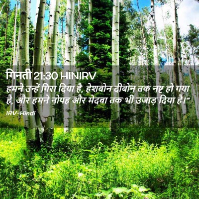 Picture 02 - गिनती 21:30 HINIRV - हमने उन्हें गिरा - Bible Verse Picture